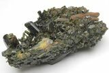 Lustrous, Epidote Crystal Cluster on Actinolite - Pakistan #213435-1